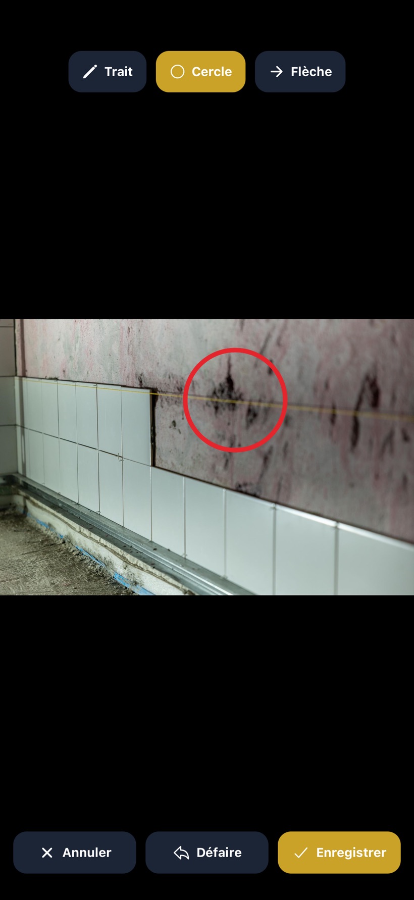 Une photo en cours d'annotation : un cercle rouge, et les boutons Trait, Cercle, Flèche, Annuler, Défaire et Enregistrer.