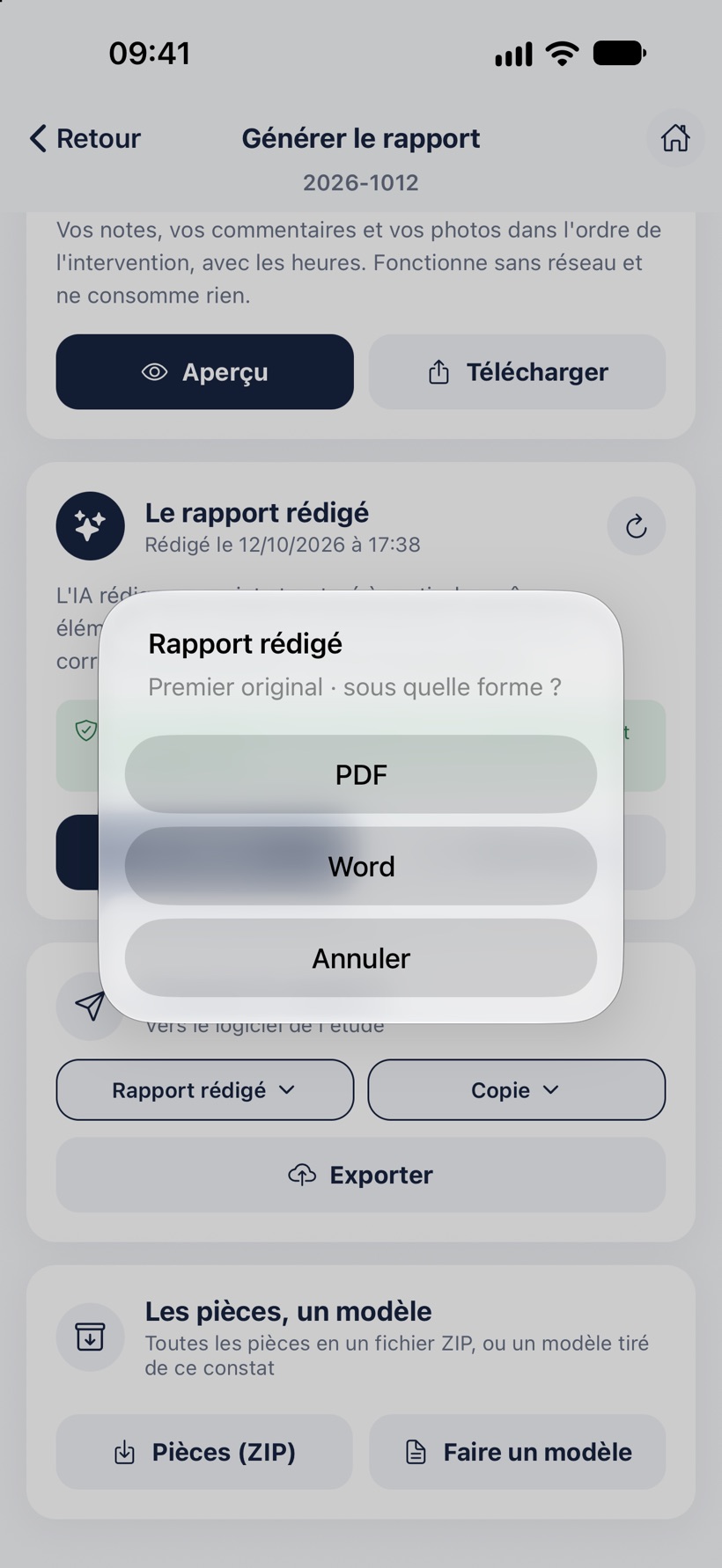 Le choix du format : PDF ou Word.